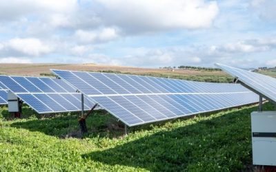The Vital Role of Agrivoltaics in the Clean Energy Transition