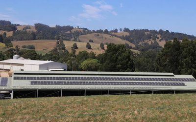 Solar-Powered Dairy Farm in the Netherlands